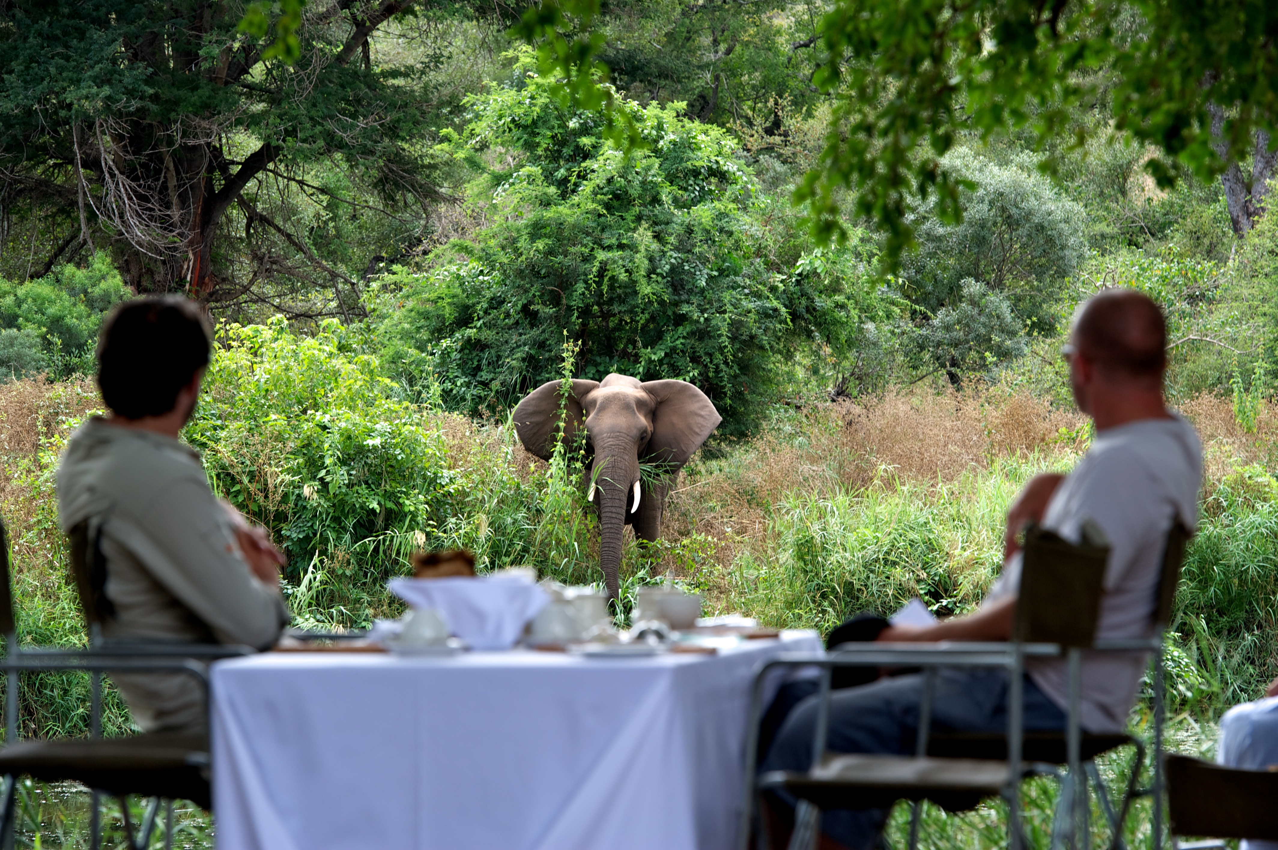 A safari makes for an unforgettable family holiday, with exhilarating activities for the entire family to enjoy, memories made together that will last a lifetime and opportunities to learn and grow together.